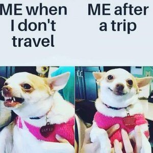 PLEASE DO NOT PURCHASE ANYTHING UNDER THIS LISTING